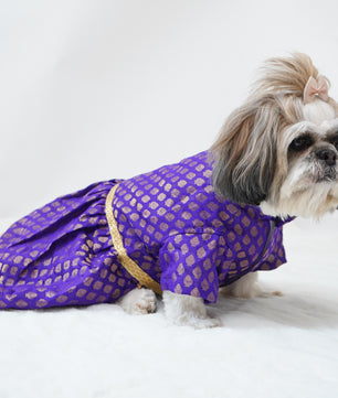 Pawgy Pets Occasion wear Dress Purple for Dogs