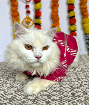 Pawgy Pet Festive kurta Hot Pink Gota (Cat)