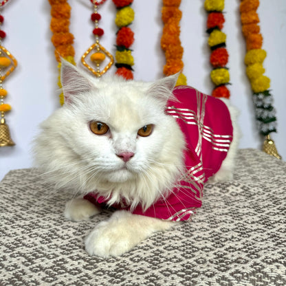 Pawgy Pet Festive kurta Hot Pink Gota (Cat)