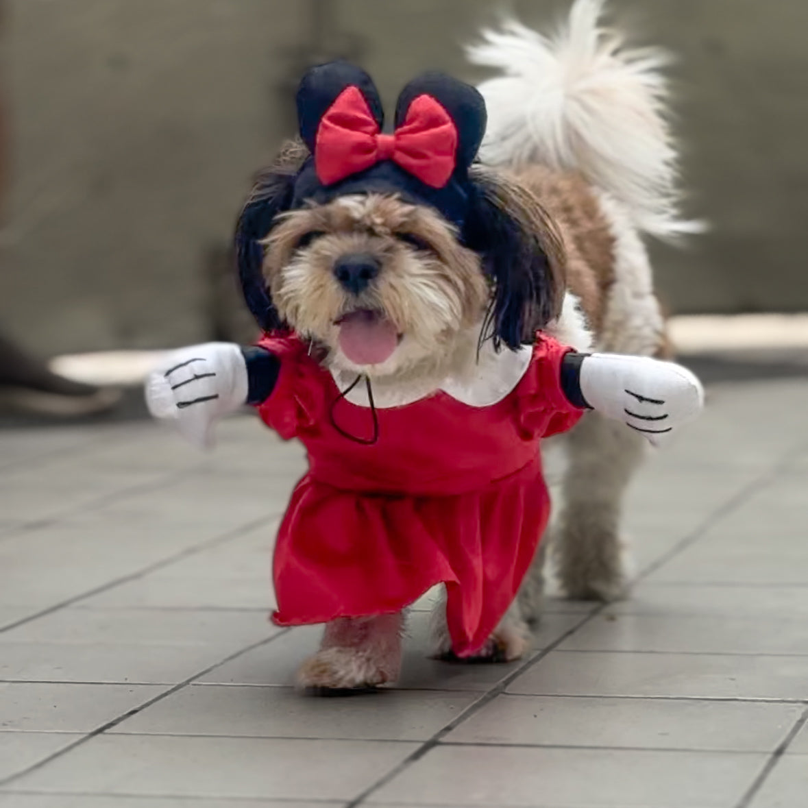 Pawgy Pets Minnie Mouse Dog Costume