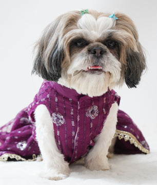 Pawgy Pets Net Lehenga Violet for Dogs & Cats