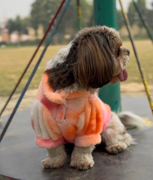 Pawgy Pets Fur sweater: Shades of Orange or Dogs & Cats