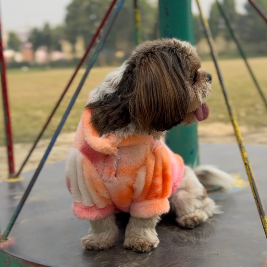 Shades of Orange Fur Sweater | For Dogs & Cats | Pawgy Pets