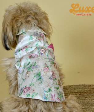 Luxe by Pawgy Pets Floral Sherwani White