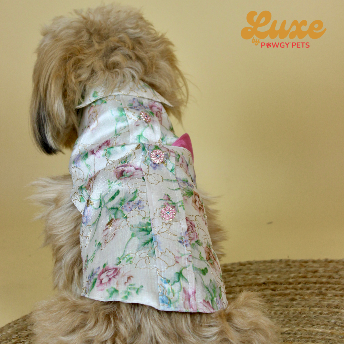 White Floral Sherwani | Luxe Collection | Pawgy Pets