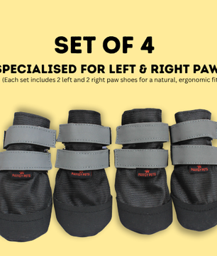 Pawgy Walkies – Everyday Dog Shoes: Set of 4