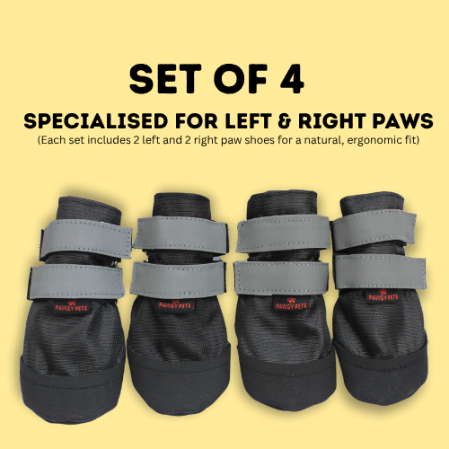 Pawgy Walkies – Everyday Dog Shoes: Set of 4
