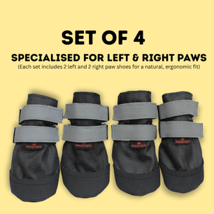 Pawgy Walkies – Everyday Dog Shoes: Set of 4