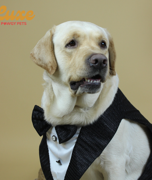 Luxe by Pawgy Pets Shimmering Black Bowtie Tuxedo