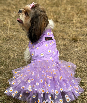 Pawgy Pets Frilly Dress Purple for Dogs