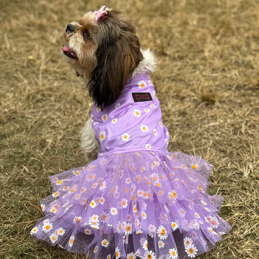 Pawgy Pets Frilly Dress Purple for Dogs