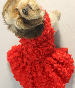 Pawgy Pets Red Rosy Tutu Dress for Dogs and Cats