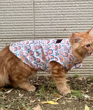 Pawgy Pets Rainbow Sando (Cat)