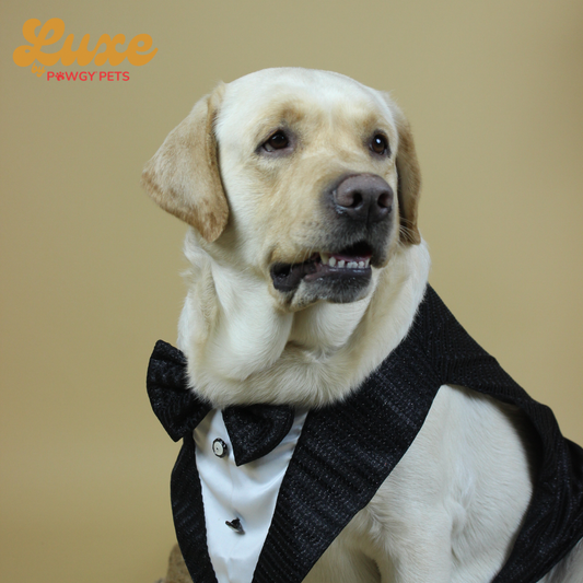 Luxe by Pawgy Pets Shimmering Black Bowtie Tuxedo