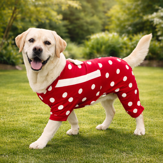 Pawgy Pets Maroon Polka Onesie