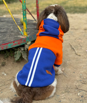 Pawgy Pets Stripe Hoodie Pet Sweatshirt - Orange n Blue