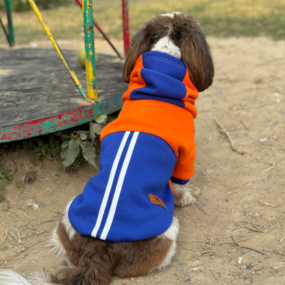 Orange & Blue Stripe Hoodie Sweatshirt | For Dogs & Cats | Pawgy Pets