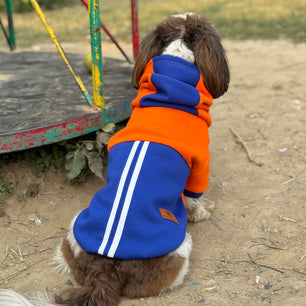 Pawgy Pets Stripe Hoodie Pet Sweatshirt - Orange n Blue