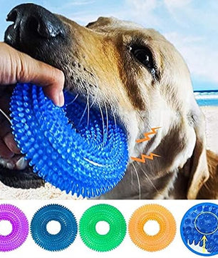 Pawgy Pets Dog Spike Squeaky Ring Chew Toy for Dogs (Random Colour)
