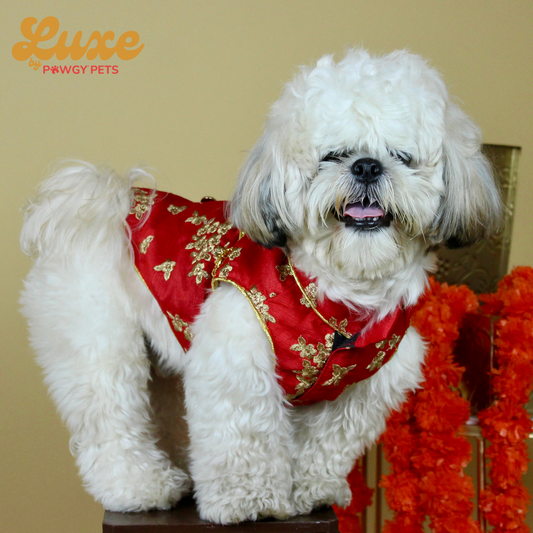 Luxe by Pawgy Pets Hand Embroidered Sherwani Red