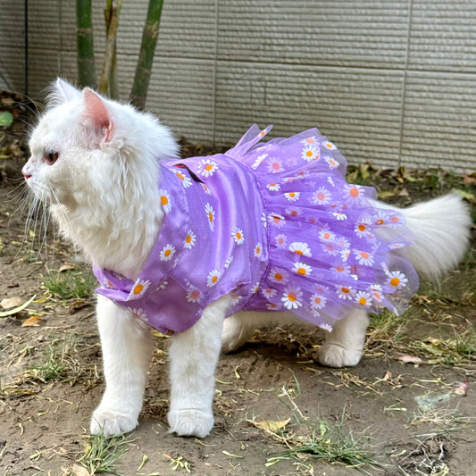 Formal Apparel Cat Pawgy Pets Formal Apparel Cat Pawgy Pets