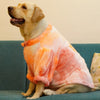 Shades of Orange Fur Sweater | For Dogs & Cats | Pawgy Pets