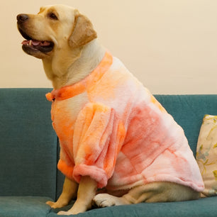 Pawgy Pets Fur sweater: Shades of Orange or Dogs & Cats