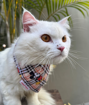 Pawgy Pets Casual Bandana: Mickey Check Beige for Cats and Dogs