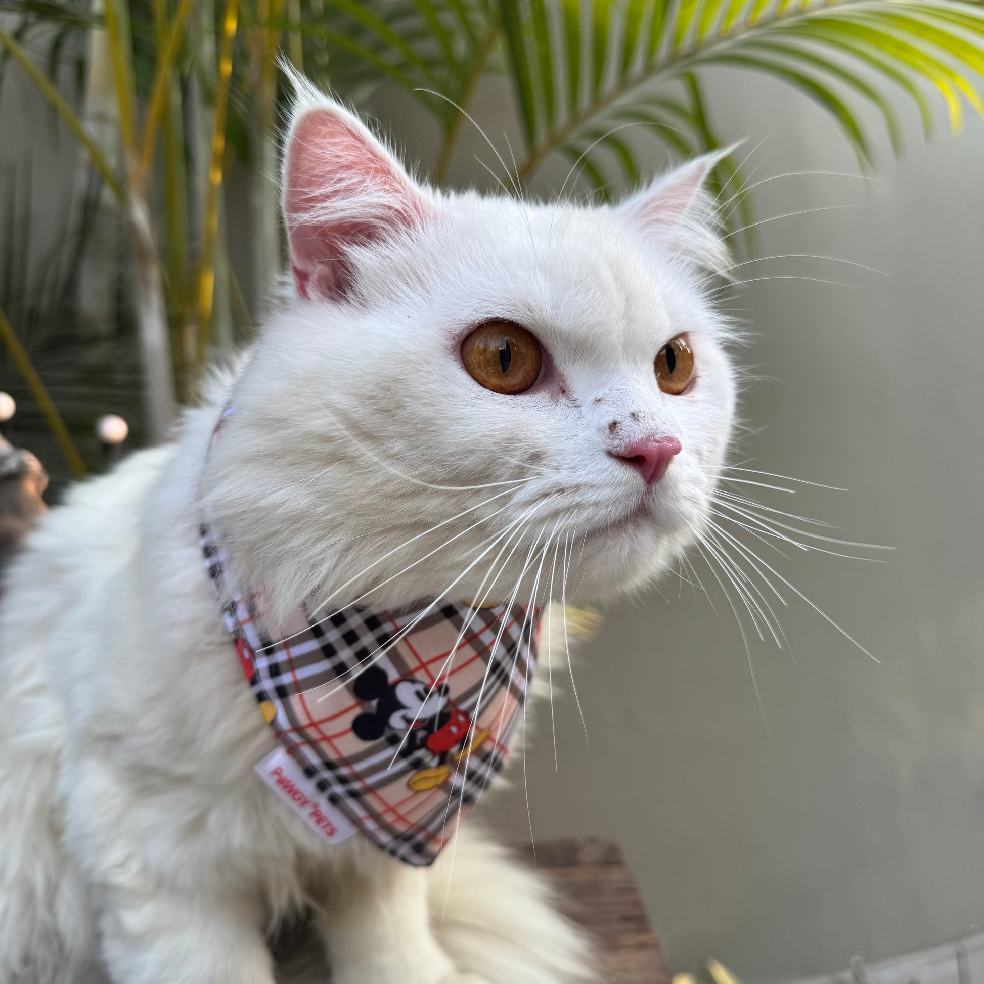 Pawgy Pets Casual Bandana: Mickey Check Beige for Cats and Dogs