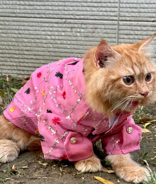 Pawgy Pets Festive shirt Pink (Cat)