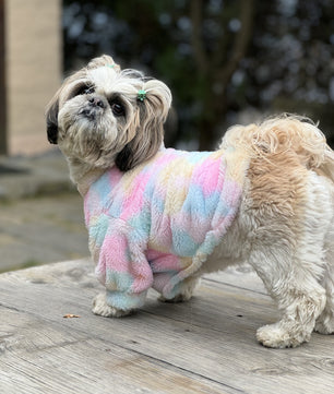 Pawgy Pets Fur sweater: Pastel Rainbow for Dogs & Cats