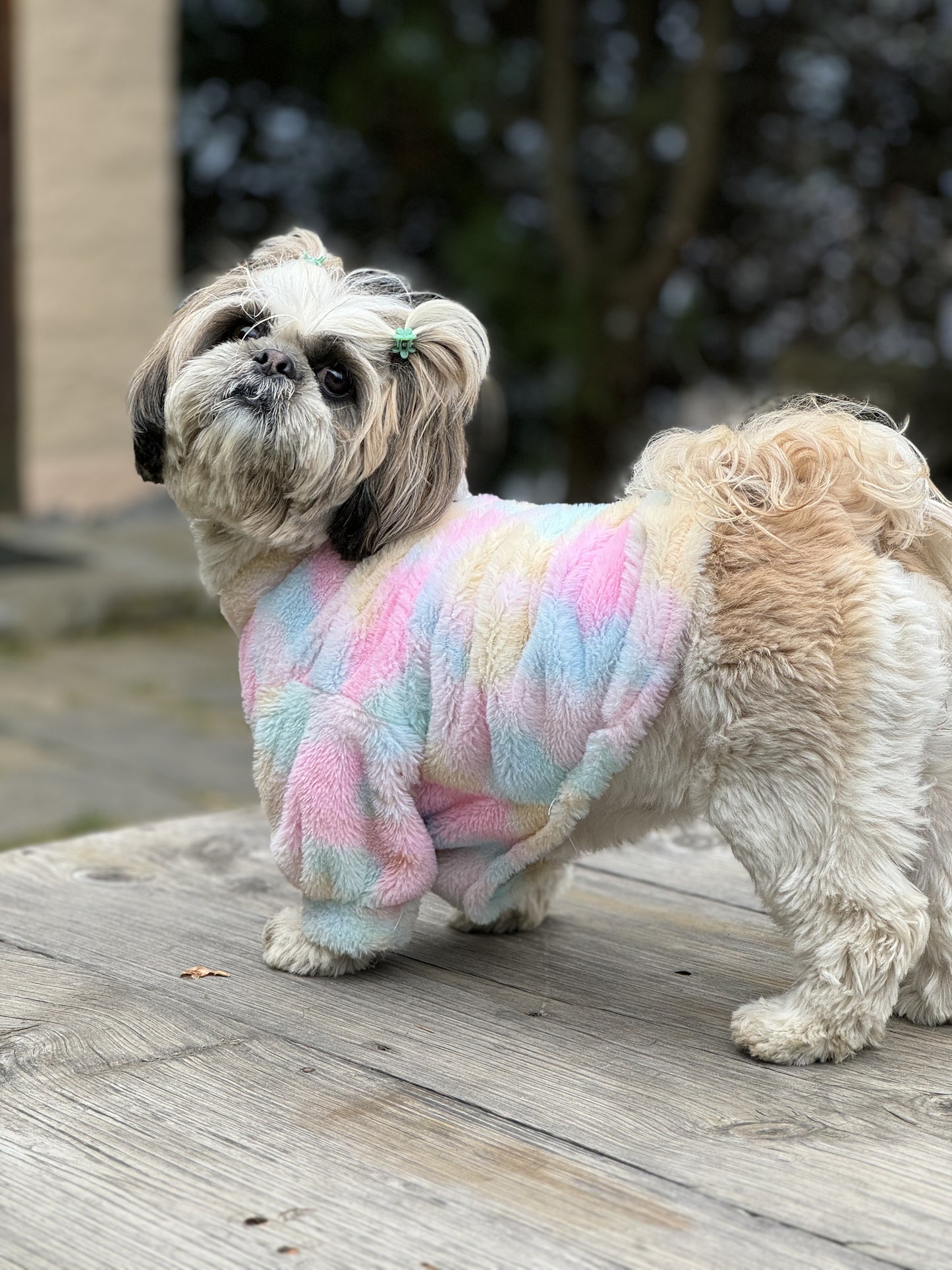 Pawgy Pets Rainbow Fur sweater for Dogs & Cats