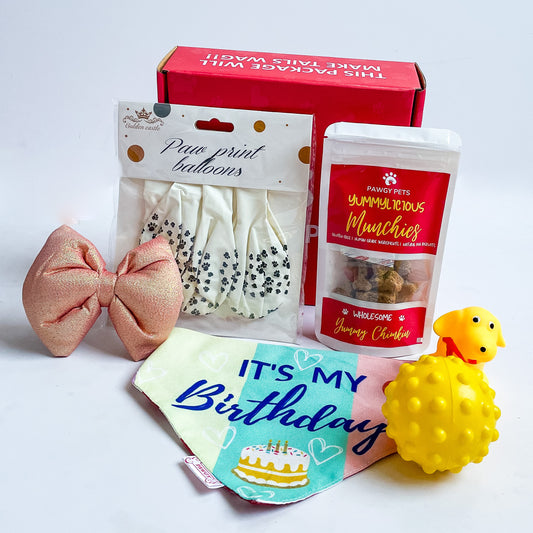 Pawgy Pets Birthday Box Premium for Dogs & Cats