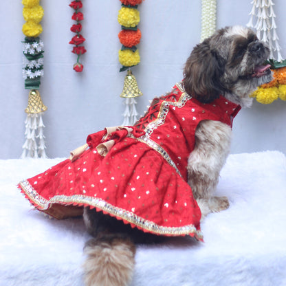 Red Shahi Lehenga Dress | For Dogs | Pawgy Pets