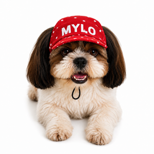 Red Star Cap | Personalised for Dogs | Pawgy Pets