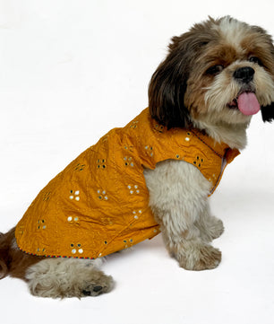 Pawgy Pets Festive Shirt Mustard Mirror Work for Dogs