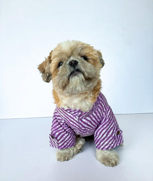 Pawgy Pets Lehriya Kurta: Purple for Dogs