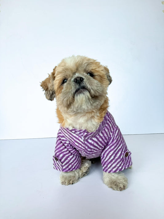 Pawgy Pets Lehriya Kurta: Purple for Dogs