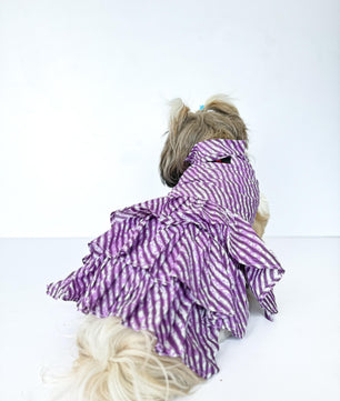 Pawgy Pets Lehriya Dress Purple for Dogs