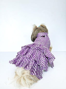 Pawgy Pets Lehriya Dress Purple for Dogs