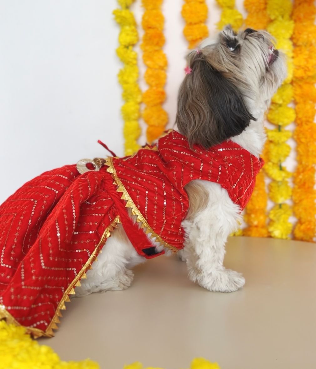 Red Velvet Lehenga