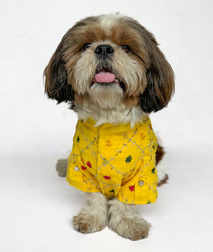 Pawgy Pets Festive Shirt Yellow for Dogs
