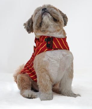 Pawgy Pets Desi Tuxedo: Red for Dogs & Cats