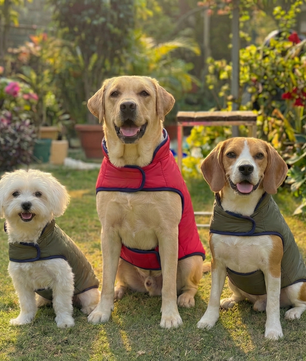 Pawgy Pets Reversible Puffer Jacket Red & Green