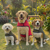 Red & Green Reversible Puffer Jacket | For Dogs & Cats | Pawgy Pets