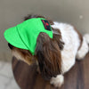 Lime Green Cap | For Dogs | Pawgy Pets