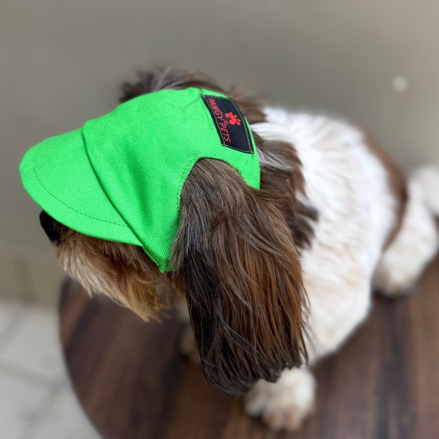 Lime Green Cap | For Dogs | Pawgy Pets