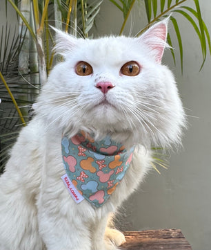 Pawgy Pets Casual Bandana: Mickey Pastel Green for Cats and Dogs