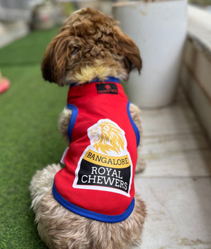 Pawgy Pets Bangalore Royal Chewers T-shirt for Dogs and Cats