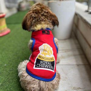Bangalore Royal Chewers T-shirt | For Dogs & Cats | Pawgy Pets